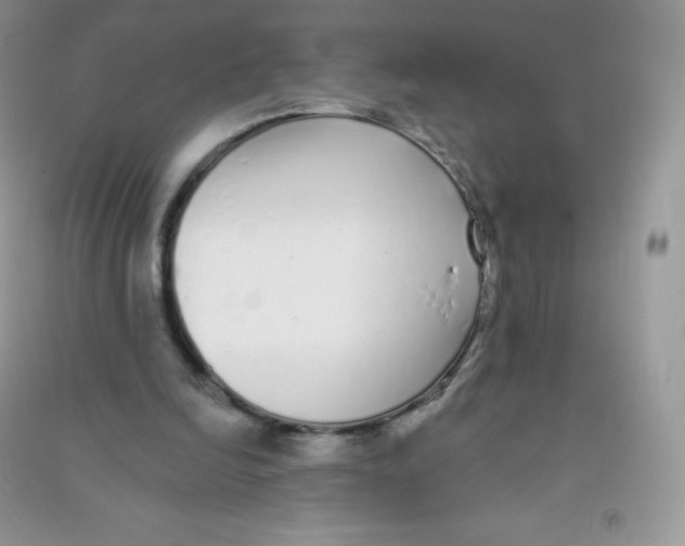 X0000090710246200708171912