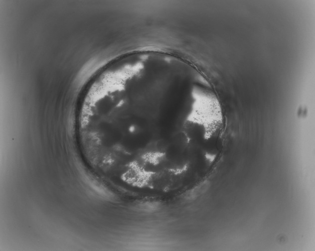 X0000090710247200708171912