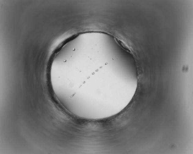 X0000090710248200708171912