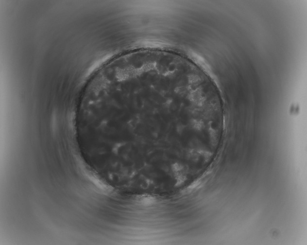 X0000090710249200708171912