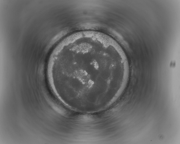 X0000090710250200708171912