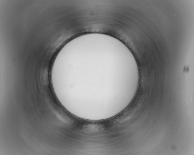 X0000090710251200708171912