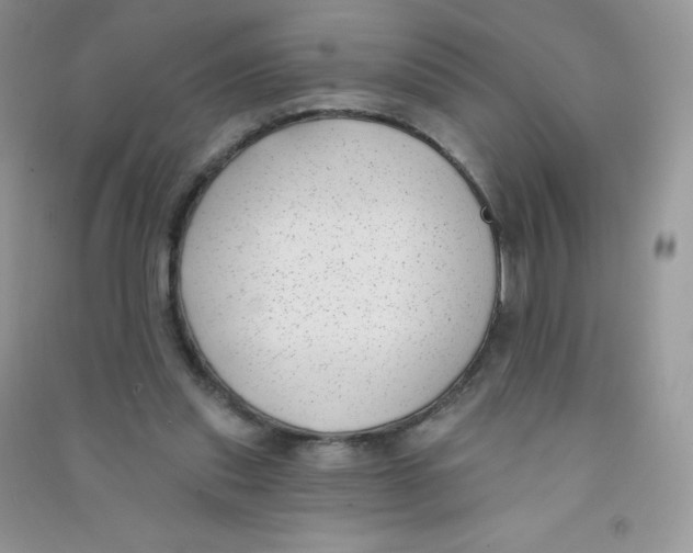 X0000090710253200708171912