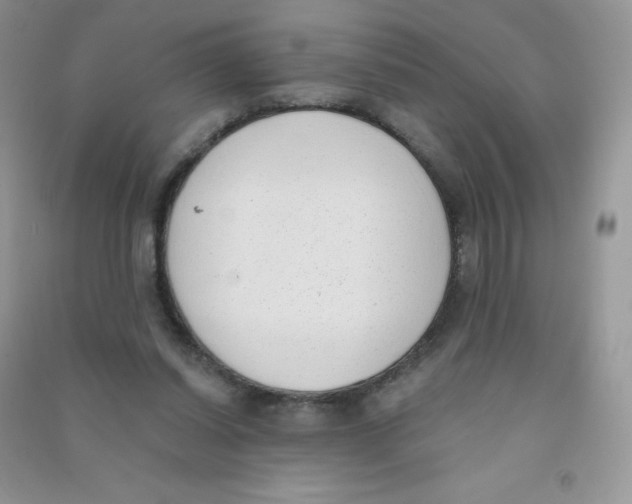 X0000090710254200708171912