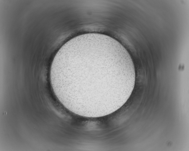 X0000090710255200708171912