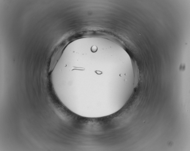 X0000090710256200708171912