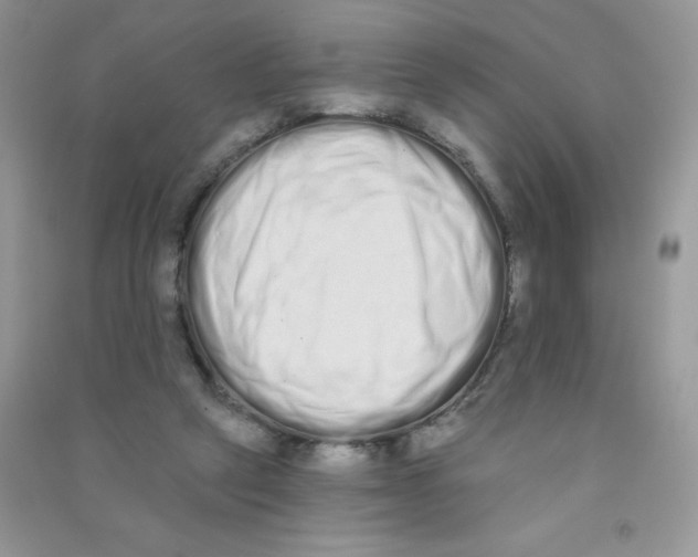 X0000090710257200708171912