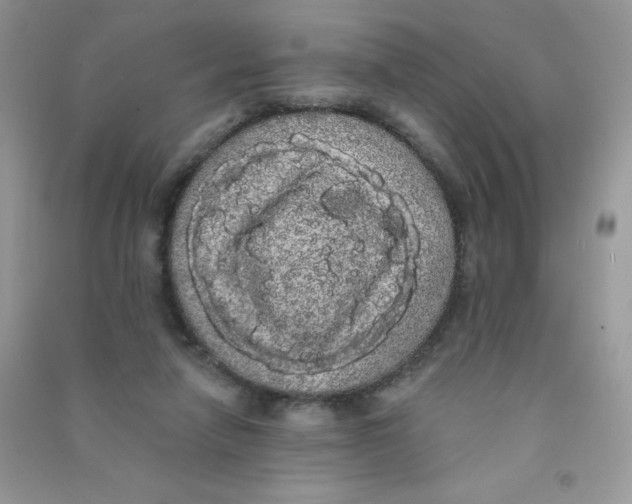 X0000090710258200708171912