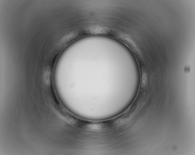 X0000090710259200708171912