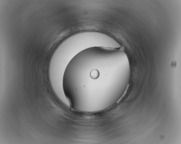 X0000090710260200708171912