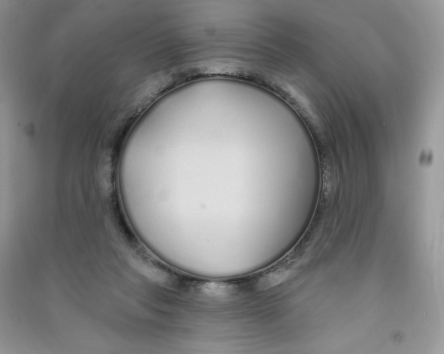 X0000090710261200708171912