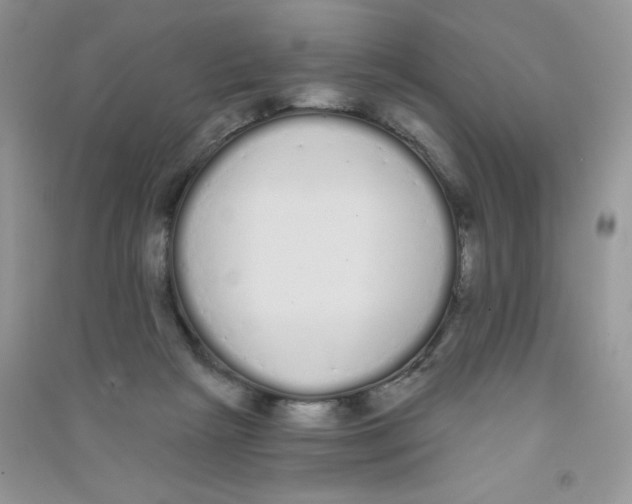 X0000090710265200708171912