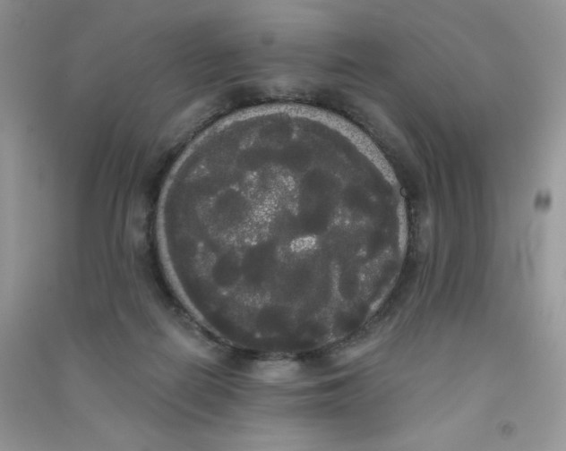 X0000090710266200708171912