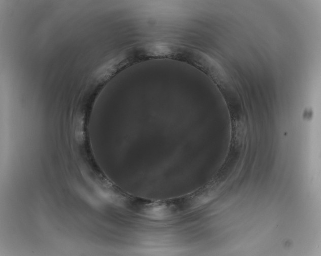 X0000090710267200708171912