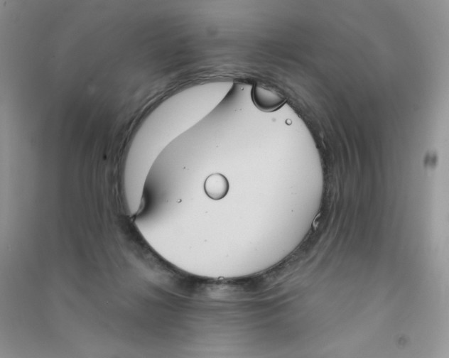 X0000090710268200708171912