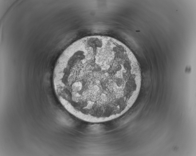 X0000090710269200708171912