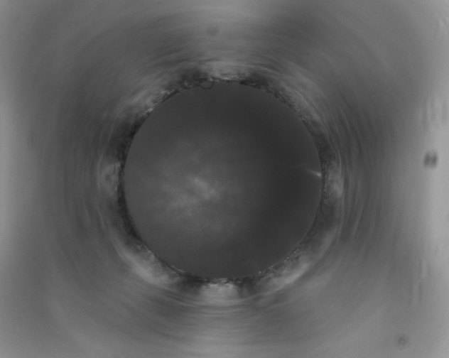 X0000090710271200708171912