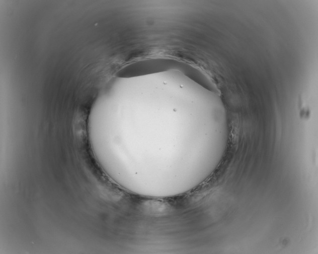 X0000090710272200708171912