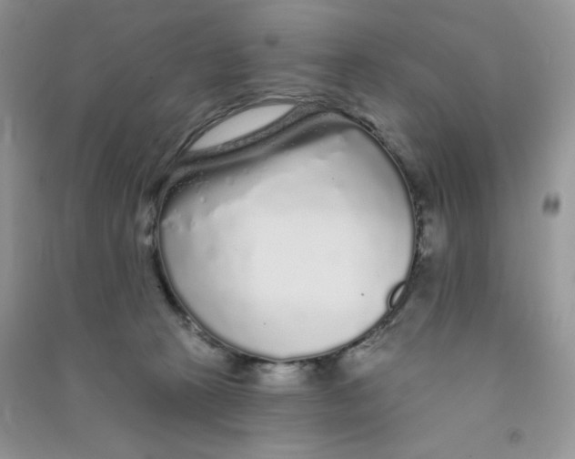 X0000090710273200708171912