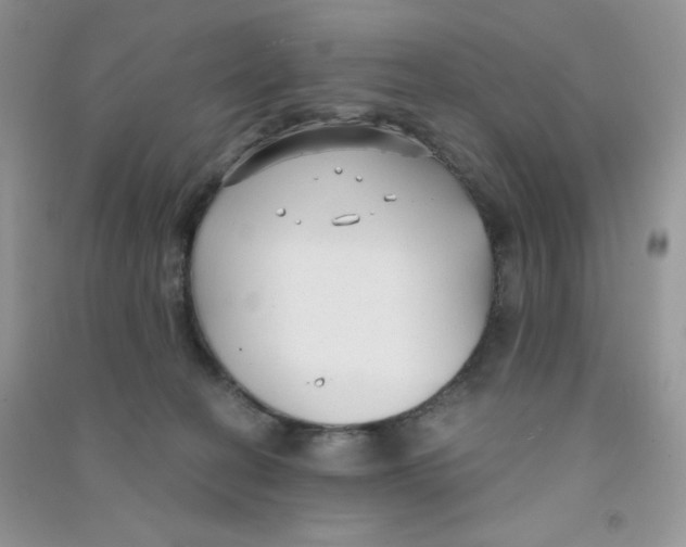 X0000090710274200708171912