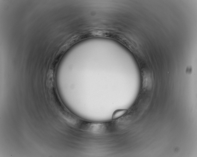 X0000090710275200708171912