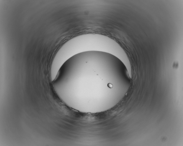 X0000090710276200708171912