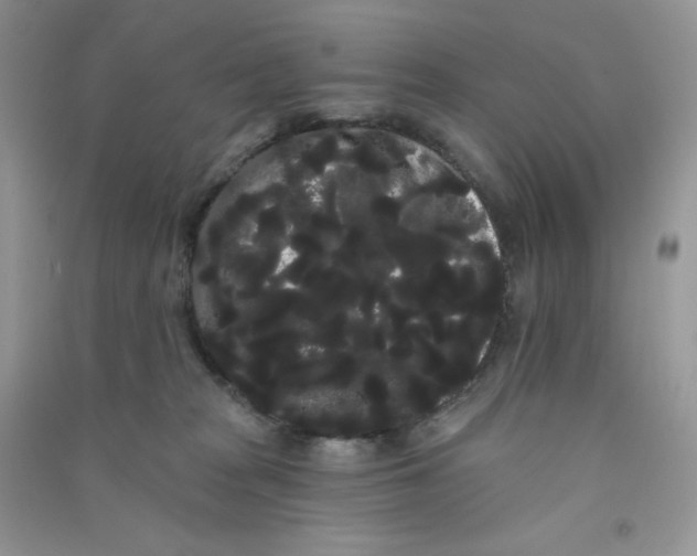 X0000090710277200708171912