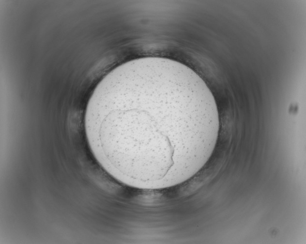 X0000090710278200708171912