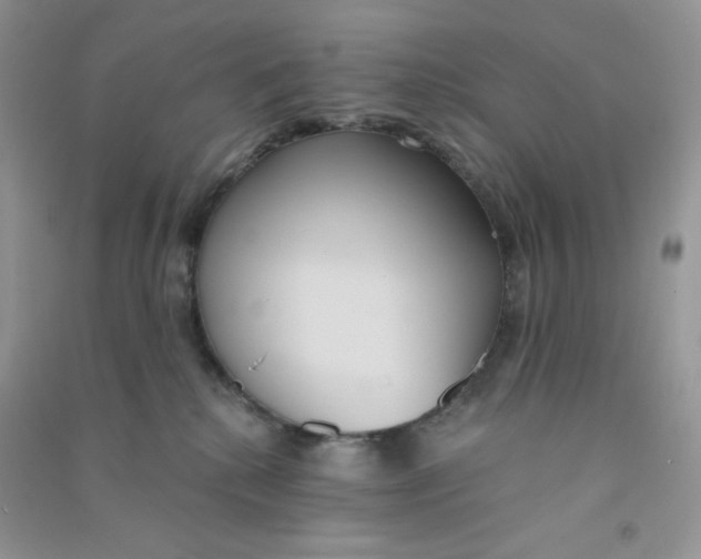 X0000090710280200708171912