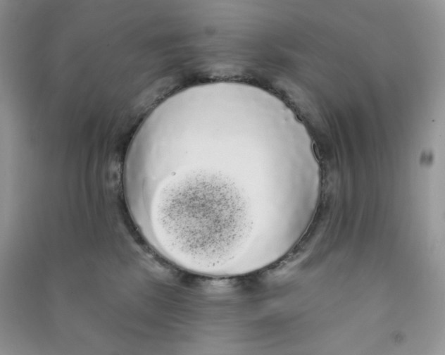 X0000090710281200708171912