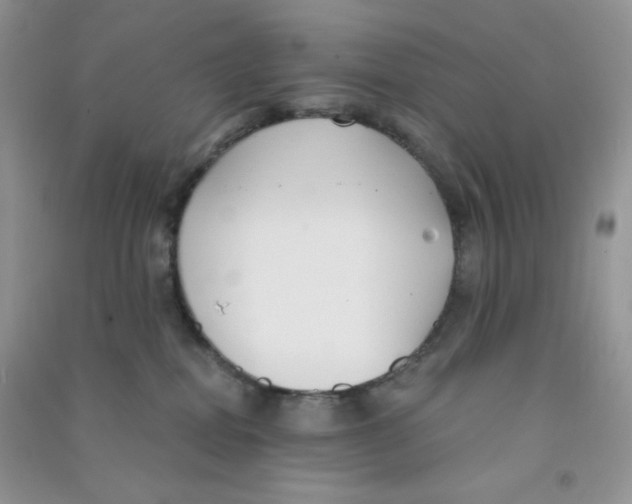 X0000090710282200708171912