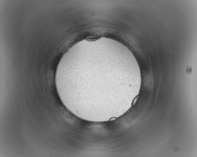 X0000090710283200708171912