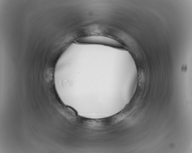 X0000090710284200708171912