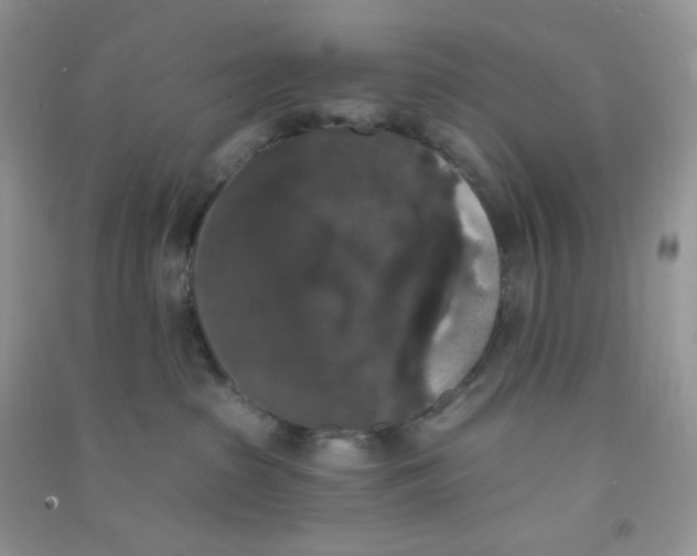 X0000090710285200708171912