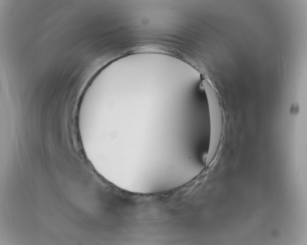 X0000090710289200708171912