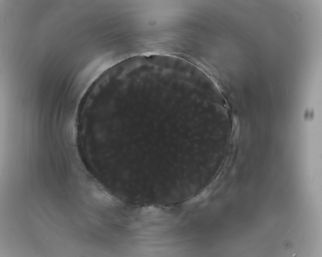 X0000090710290200708171912