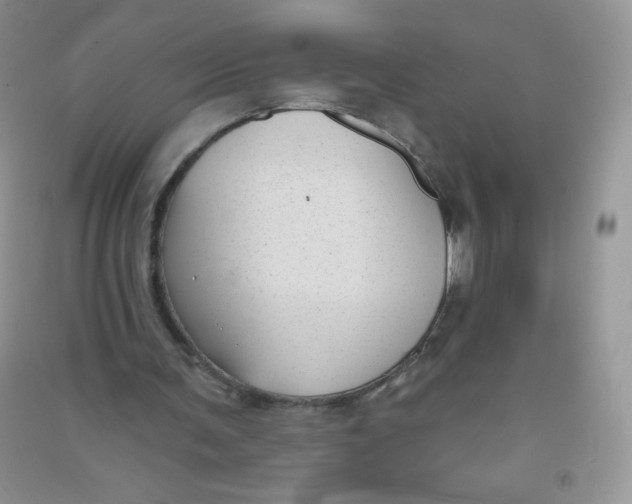 X0000090710291200708171912