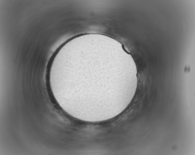 X0000090710292200708171912