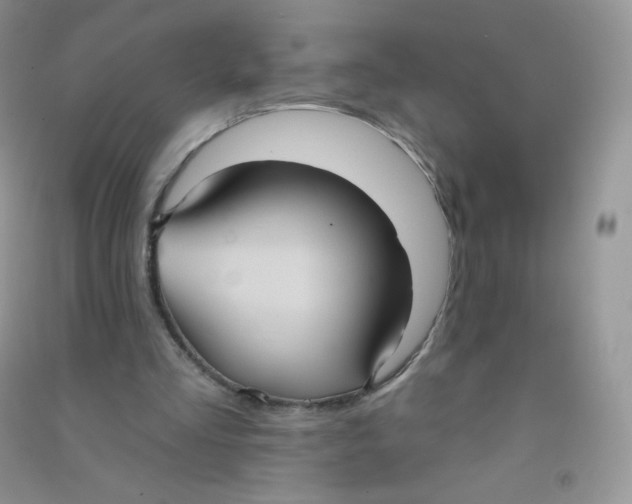 X0000090710293200708171912