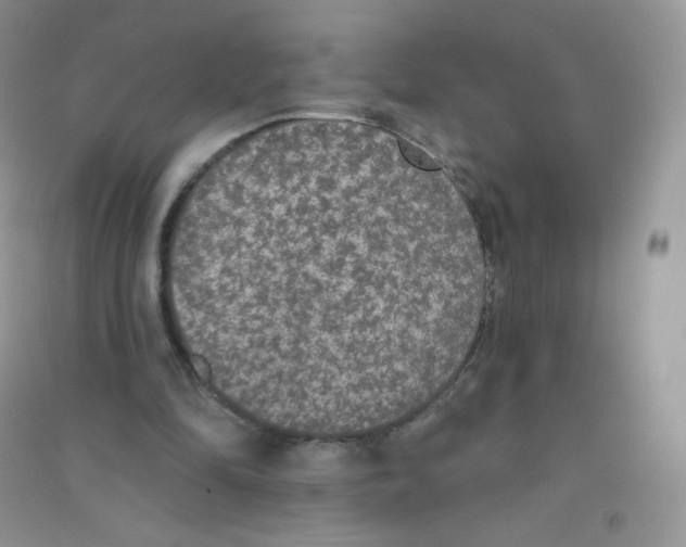 X0000090710294200708171912