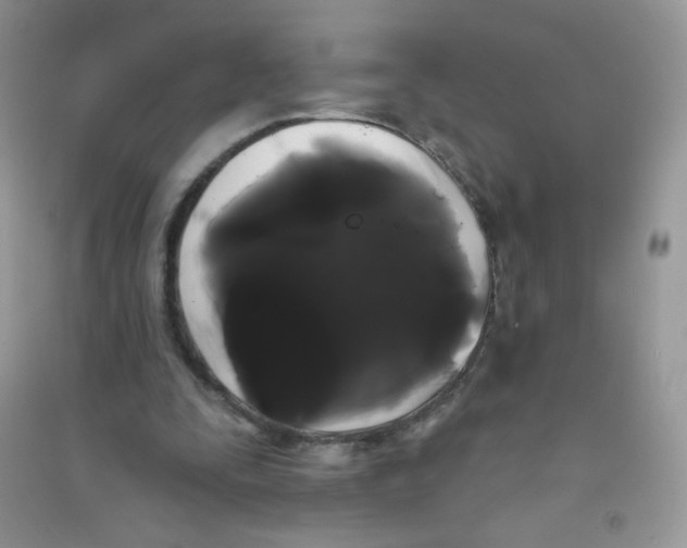 X0000090710295200708171912