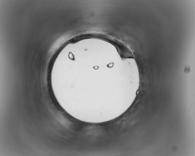 X0000090710296200708171912