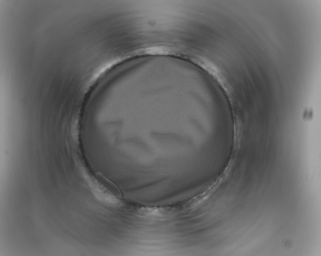 X0000090710297200708171912