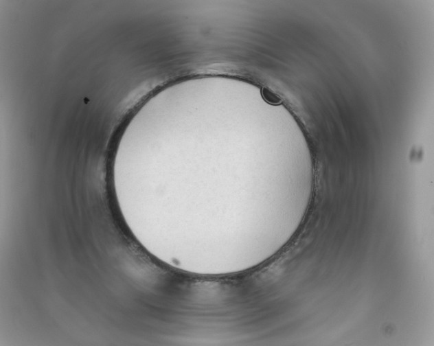 X0000090710298200708171912