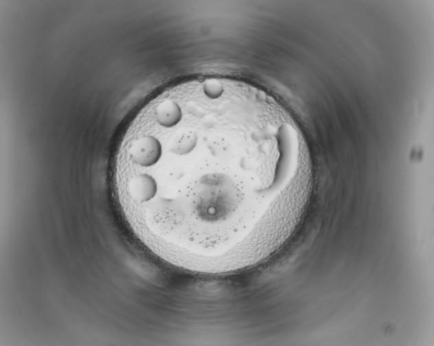 X0000090710299200708171912