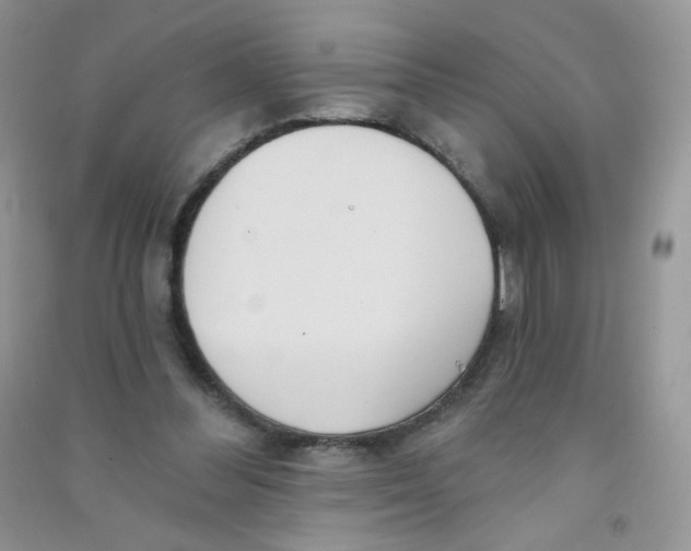 X0000090710300200708171912