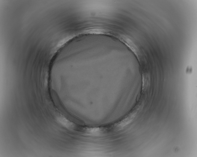 X0000090710301200708171912