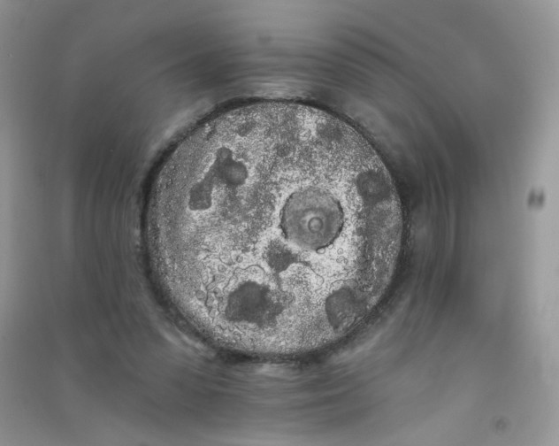 X0000090710303200708171912