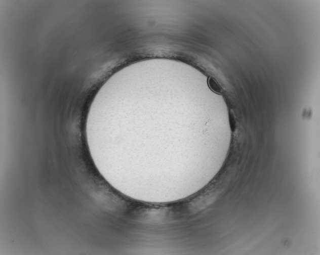 X0000090710306200708171912