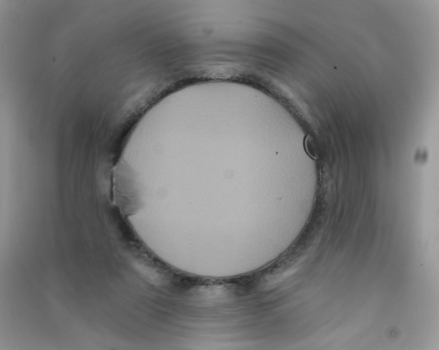 X0000090710307200708171912